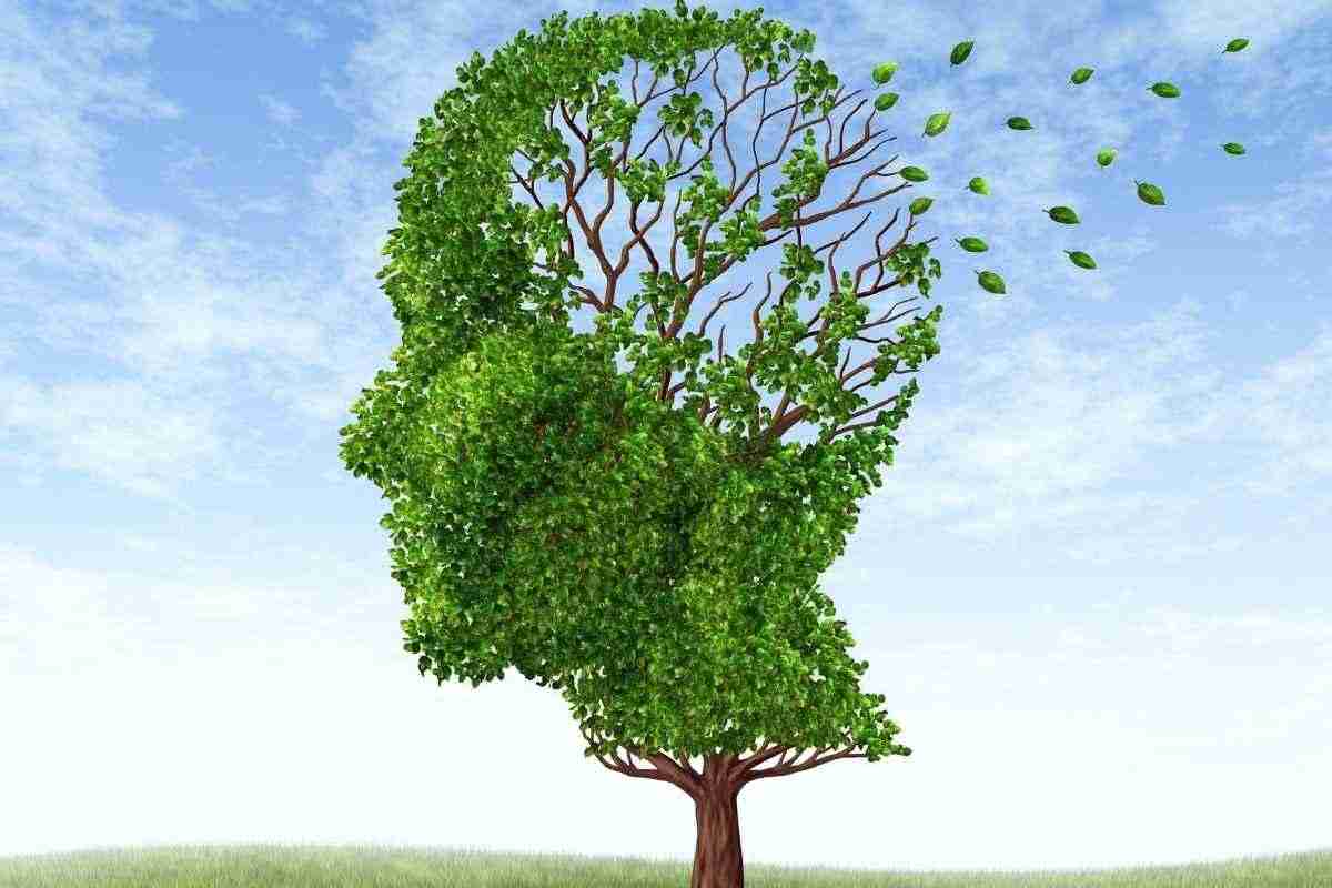 Stile di vita e memoria: le scelte che contano. L’importanza della socialità per il benessere mentale. Tempo nella natura: benefici per la mente. 
