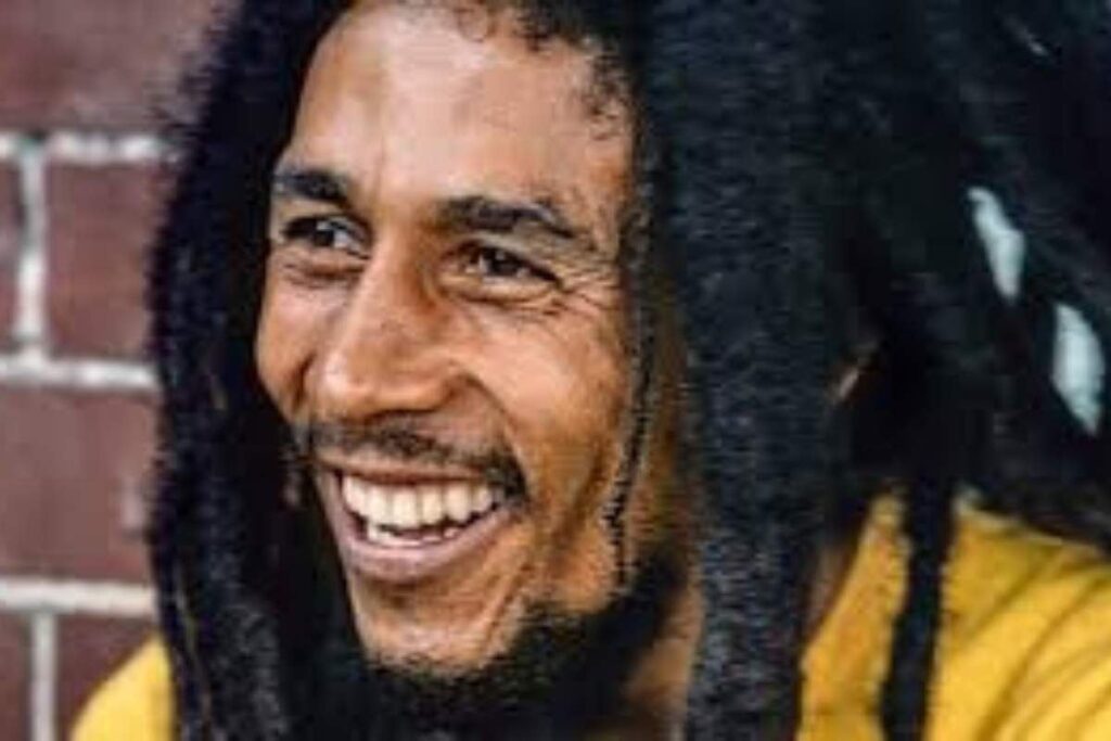 Il reggae come strumento di lotta sociale. L’impegno di Bob Marley per i diritti civili. Il rastafarianesimo e la musica di Bob Marley La spiritualità nelle canzoni di Bob Marley.