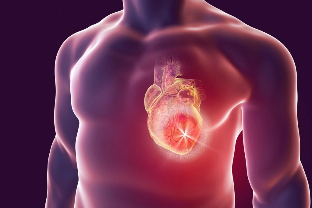 Salute del cuore: a Bologna screening gratuiti per la prevenzione. Prevenzione e salute: Bologna ospita screening cardiologici gratuiti. Ai Giardini Margherita controlli gratuiti per la salute del cuore. Controlla il tuo cuore: Bologna offre screening senza costi.