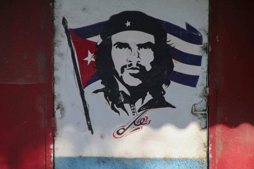 La rivoluzione vista da vicino. Che Guevara raccontato da sua figlia. 