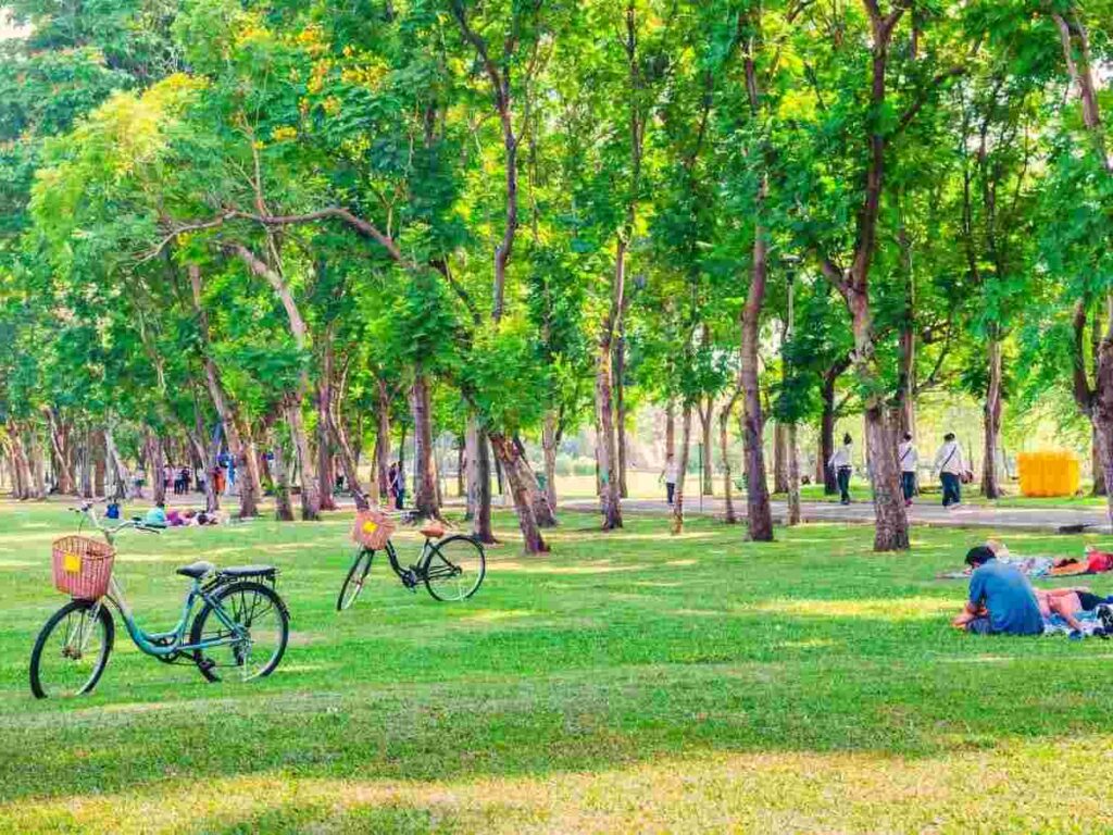 Via libera al piano verde per la Riccione del futuro. Nuove regole per il verde urbano a Riccione. Riccione punta sul verde per una città più salubre.