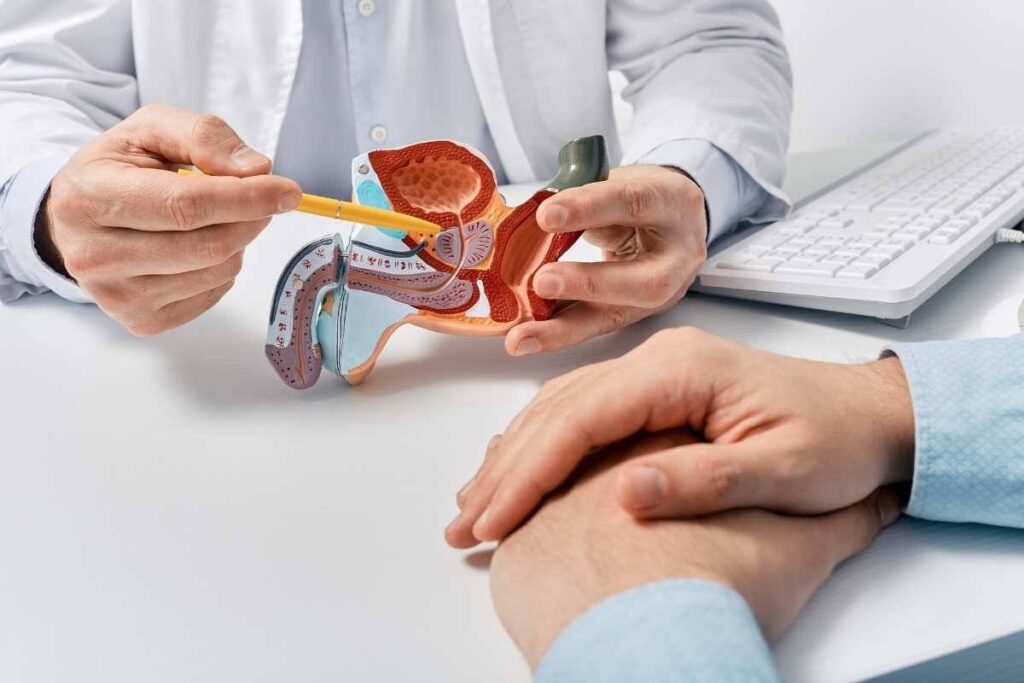 L’importanza della prevenzione urologica. Quando la prostata minaccia i reni. Una giornata dedicata alla salute maschile. Esperti a confronto sulle malattie dell’apparato urinario. 