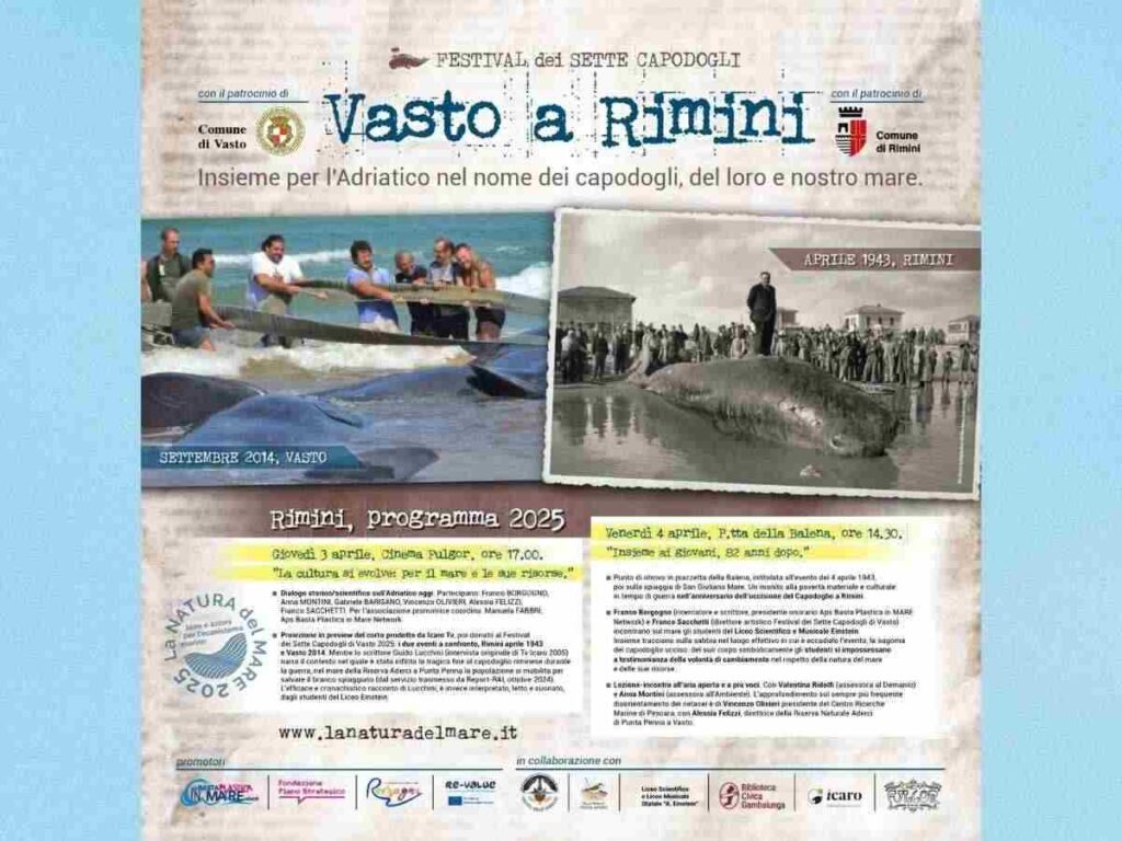Educazione ambientale e creatività per raccontare l’oceano. Capodogli tra noi: cultura, impegno e speranza a Rimini. Due giorni di riflessione sul Mediterraneo e le sue creature.