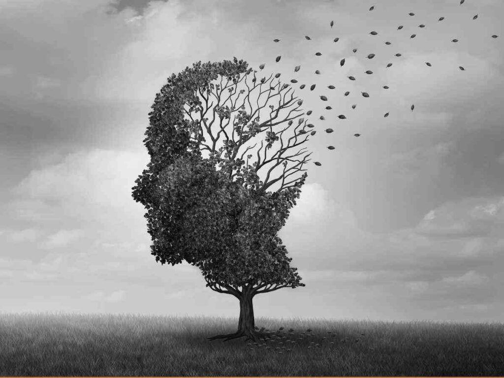 A Ravenna si parla di Demenza con il professor Domenicali. Familiari e Caregiver a confronto con gli esperti. I giovedì della salute: si parte il 10 Aprile. Un aiuto concreto per chi affronta la Demenza.