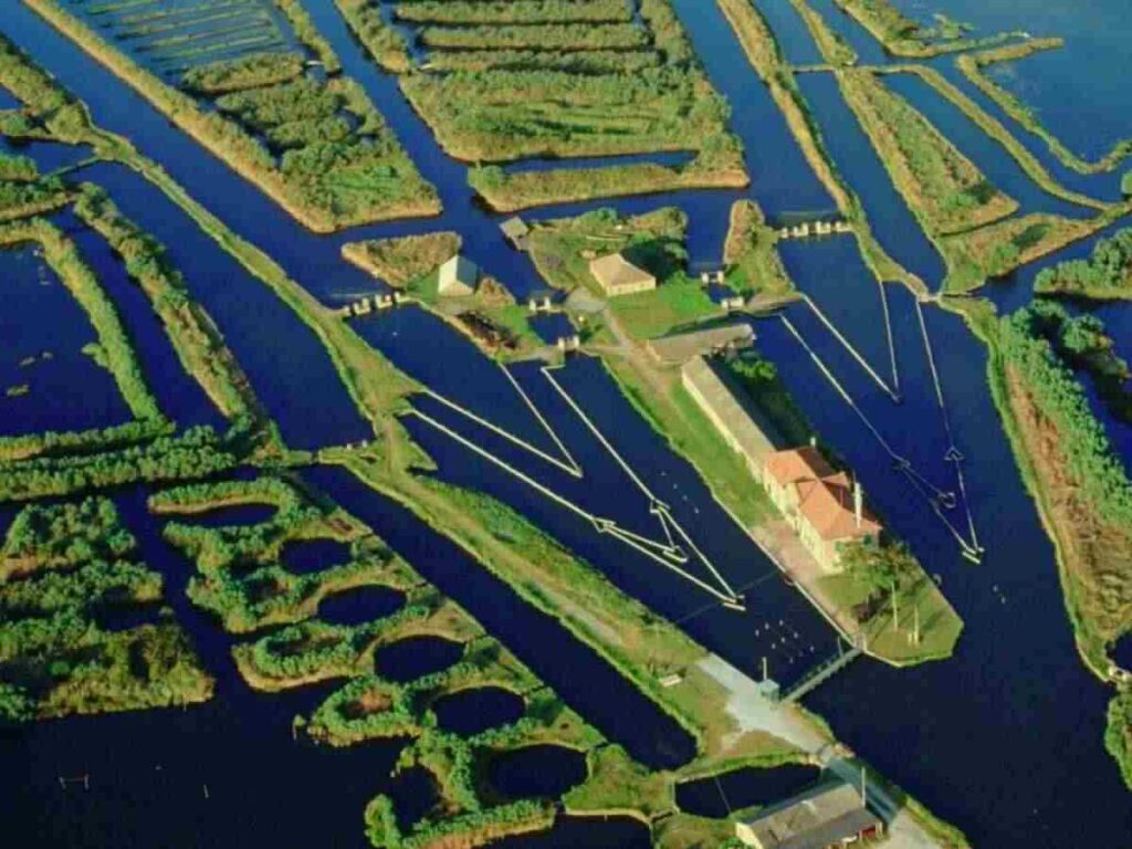 Approvato il progetto "Life Fresh" per il Delta del Po. Life Fresh: fondi europei per la rinascita degli habitat del Delta. Delta del Po, un futuro sostenibile grazie al progetto Life Fresh. 