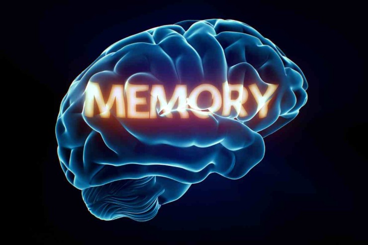 Cervello e memoria