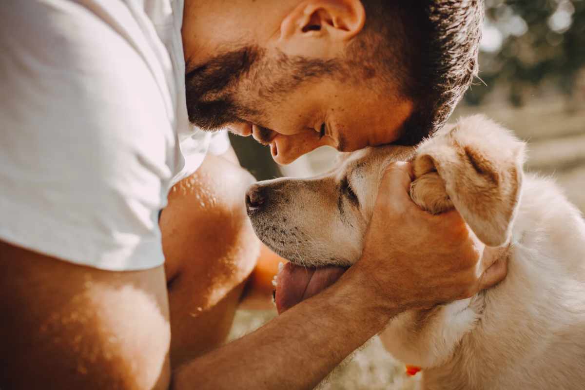 Un ragazzo che abbraccia un cane