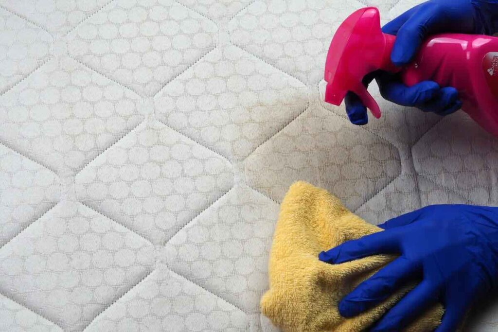 Pulire materasso con spruzzino e pelle gialla