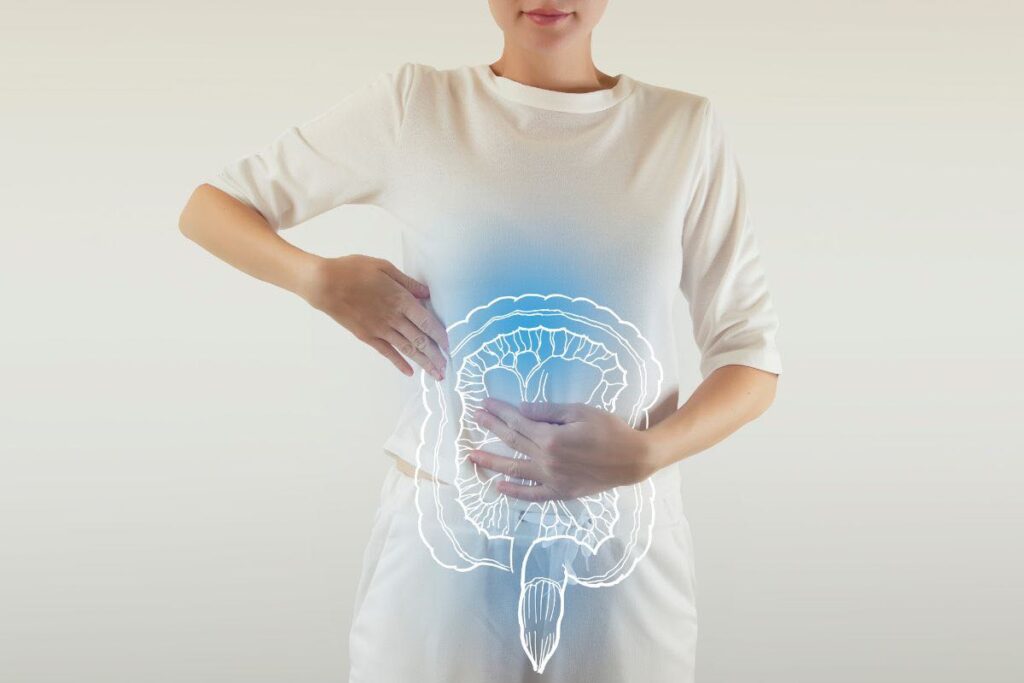 Intestino donna